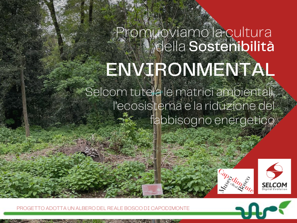 Progetto Selcom 𝗔𝗱𝗼𝘁𝘁𝗮 𝘂𝗻 𝗔𝗹𝗯𝗲𝗿𝗼 𝗱𝗲𝗹 𝗥𝗲𝗮𝗹𝗲 𝗕𝗼𝘀𝗰𝗼 𝗱𝗶 𝗖𝗮𝗽𝗼𝗱𝗶𝗺𝗼𝗻𝘁𝗲